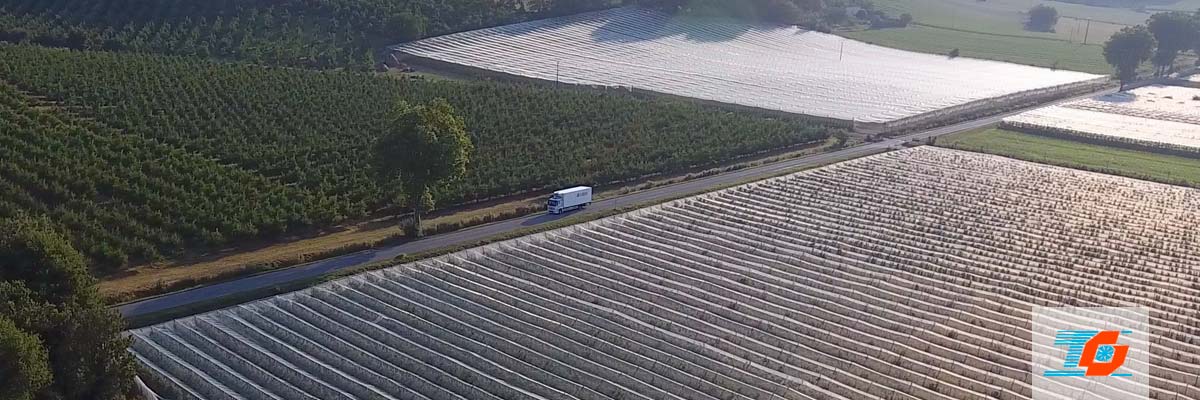 Transporteur routier